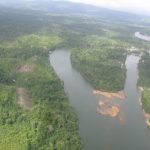 guiana river and forest