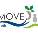 move_project